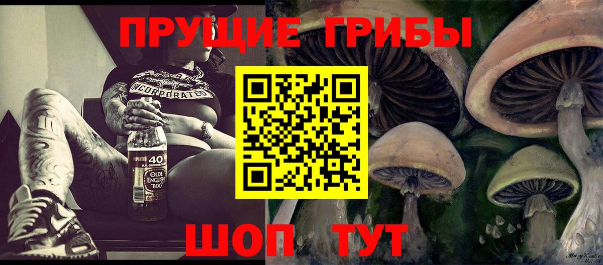 Галлюциногенные грибы GOLDEN TEACHER  Псилоцибиновые грибы MAGIC MUSHROOMS  Железногорск  Вход с VPN 