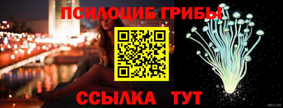 Псилоцибиновые грибы GOLDEN TEACHER Железногорск